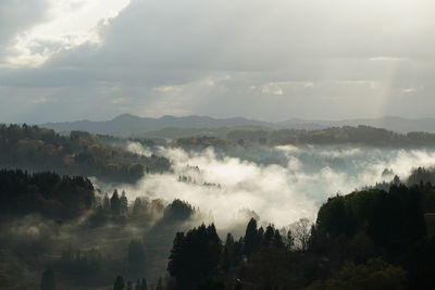 Panoramic view of trees and mountains against sky