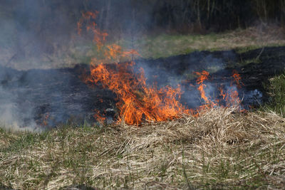 High angle view of campfire