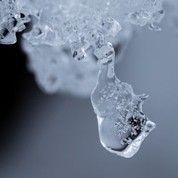 Close-up of water drops on ice