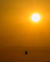 Silhouette of people at sunset