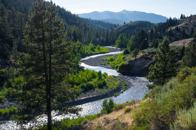 Scenic view of river amidst trees against sky