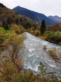 Scenic view of river stream amidst trees against sky