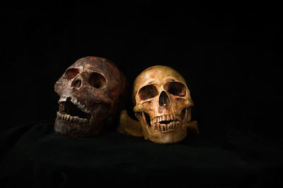 Close-up of skulls against black background
