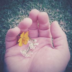 Close-up of hand holding flower