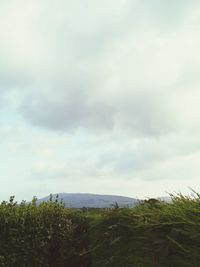 Scenic view of land against sky