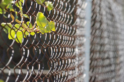 Full frame shot of fence