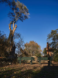 Bare trees on landscape against clear blue sky