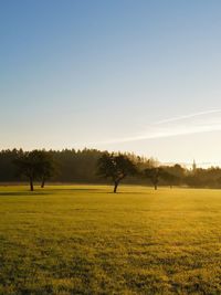 Scenic view of field against clear sky
