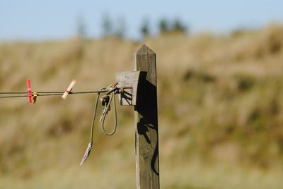 Close-up of clothesline on field against sky