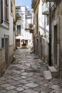 Narrow alley amidst houses in town