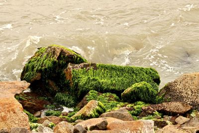Scenic view of rocks in sea