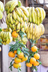 Bananas and oranges for sale hanging outside a fruit and vegetable store in luxor, egypt.