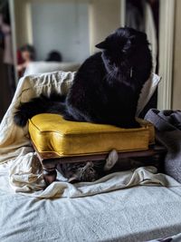 Kitten hiding trying to reach big black cat from under a footstool on a bed.