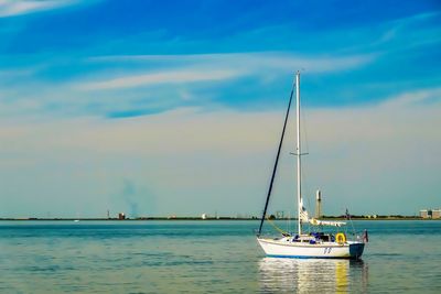 Sailboats sailing in sea against sky