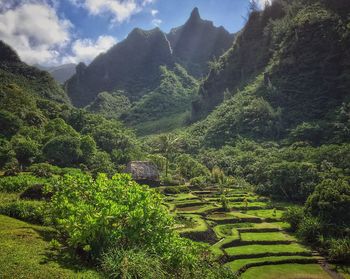 Low angle view of green landscape against sky during sunset
