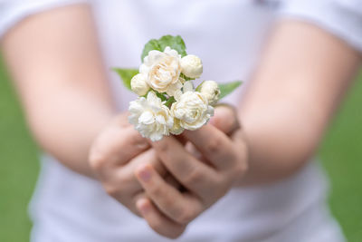 Woman's hands holding jasminum sambac, arabian jasmine, fragrant flower in garden.