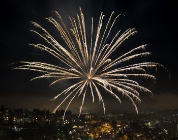 Firework display at night