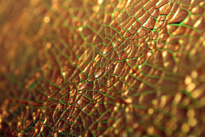 Cracked golden paint on canvas macro modern background high quality big size instant prints dried