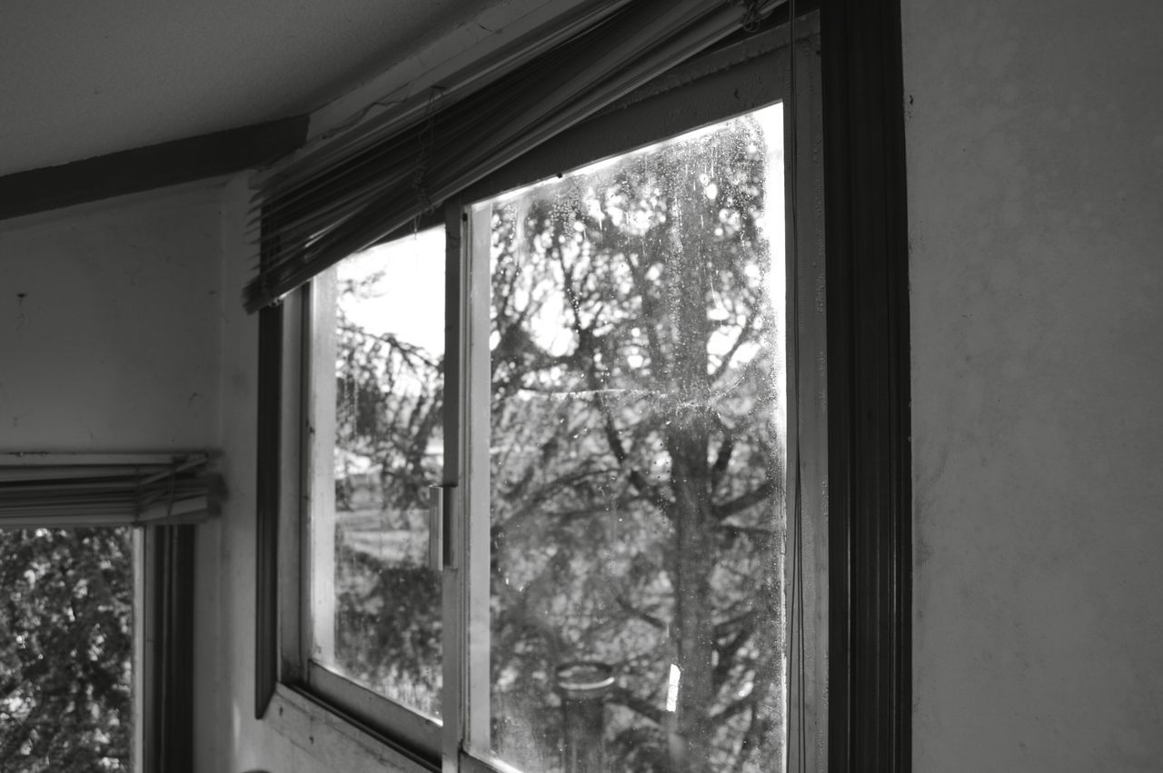 window, indoors, glass - material, transparent, home interior, house, window frame, curtain, glass, window sill, built structure, closed, door, architecture, day, looking through window, tree, no people, open, reflection