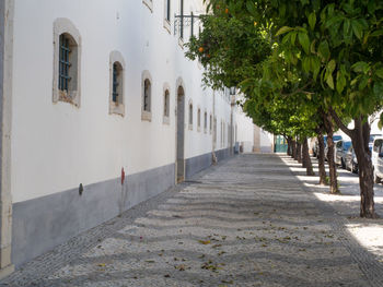 Footpath amidst buildings in city