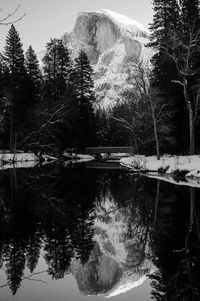 Reflection of trees in lake against sky