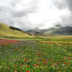 Scenic view of landscape against cloudy sky