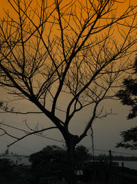 Silhouette tree against sky during sunset