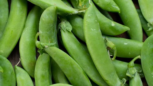 Full frame shot of green chili peppers