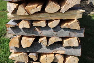 Close-up of logs in forest