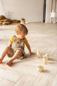 Boy playing with ducks for easter