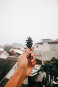 Person holding ice cream against sky