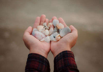 Close-up of person holding ice cream