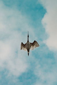 flying