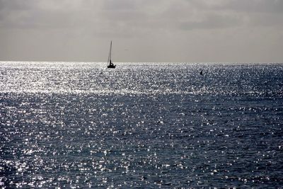 Sailboat sailing on sea against sky