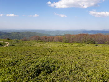 Scenic view of landscape against sky