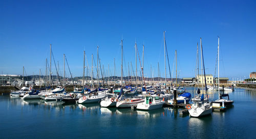 Sailboats moored in harbor against clear blue sky