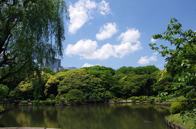 Trees by lake against sky