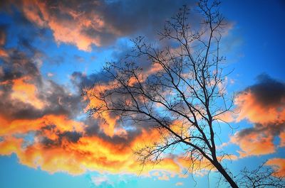 Low angle view of silhouette tree against sky at sunset