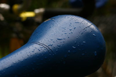 Close-up of wet leaf