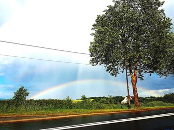 Road by trees against sky