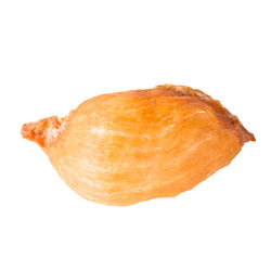 High angle view of orange against white background