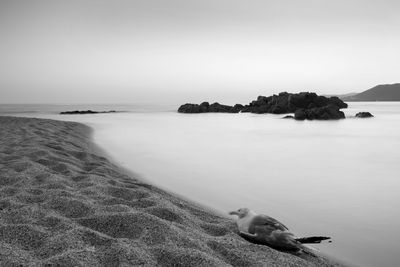 Scenic view of sea against clear sky