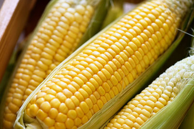 vegetable