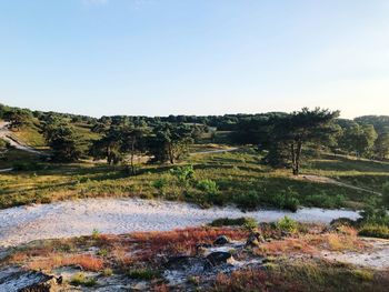 Scenic view of landscape against clear sky