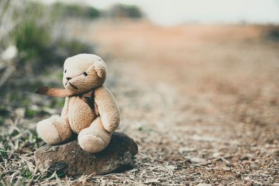 Close-up of stuffed toy on field