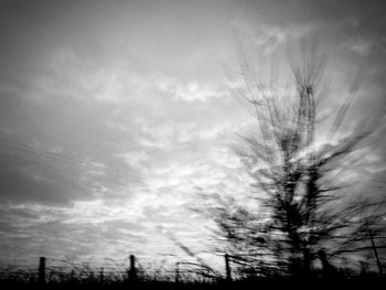 Low angle view of silhouette trees on field against sky