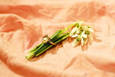 Close-up of flower on table