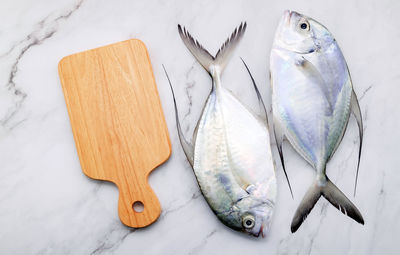 High angle view of fish on table