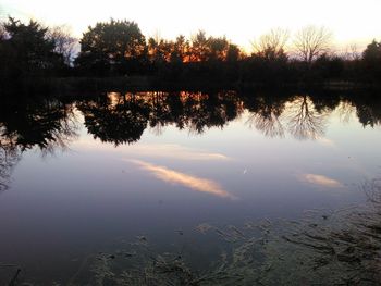 Reflection of trees in water at sunset