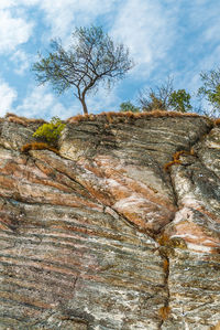 Bare tree on rock against sky